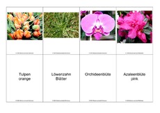 Blumen-Memo-Aufdeckspiel-13.pdf